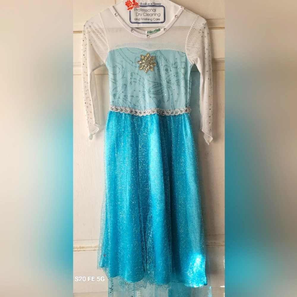 Disney Elsa costume dress